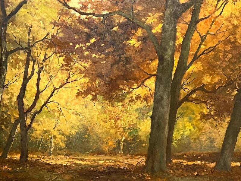 Autumn in the forest 