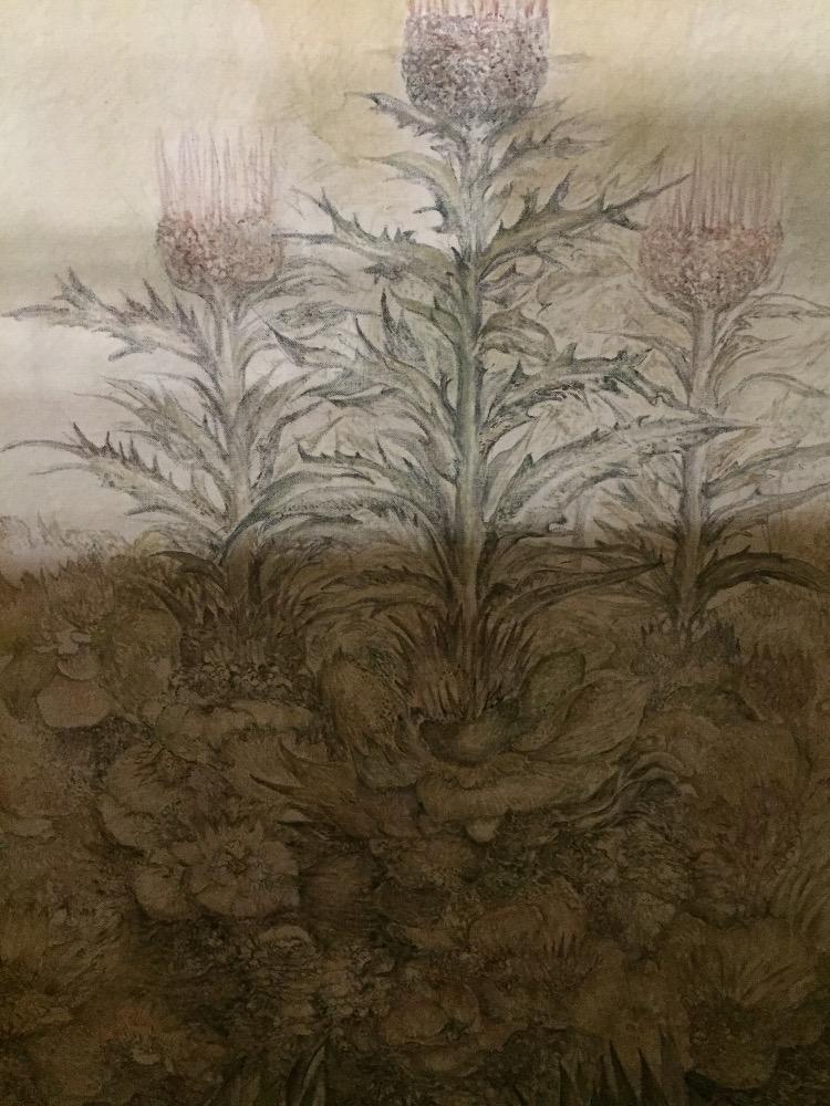 Scottish thistles