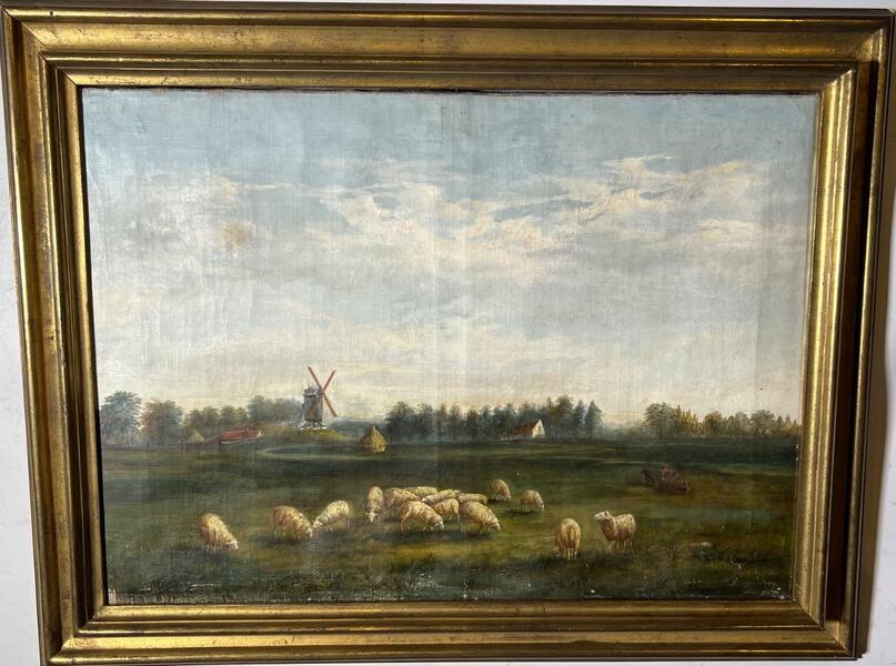 Sheep grazing near the windmill ( oil on canvas )