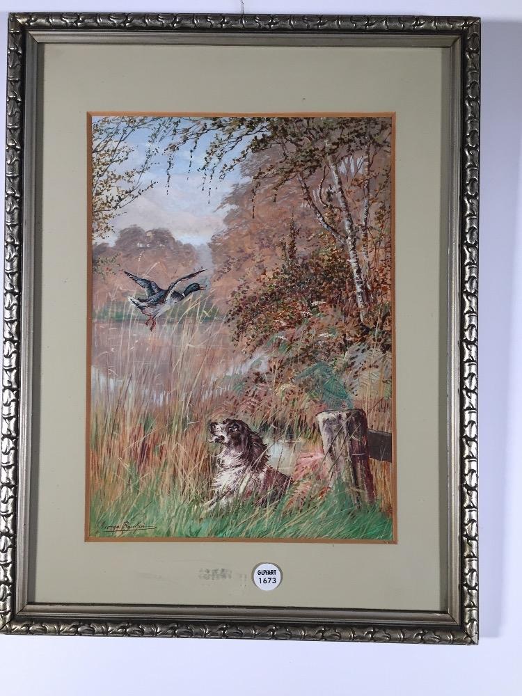 Hunting dog in action