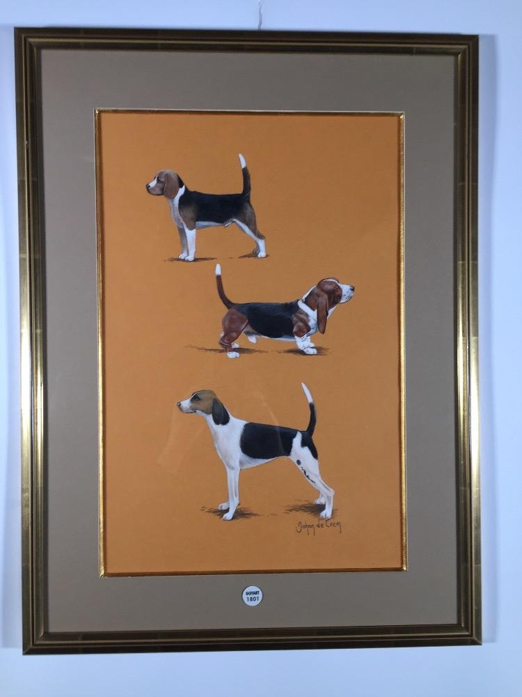The Beagle race