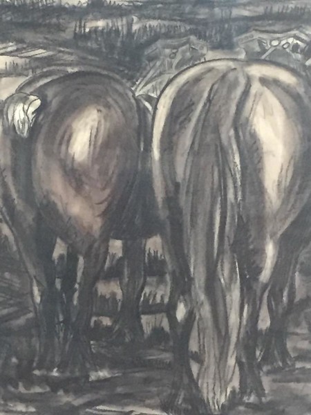 Horses 