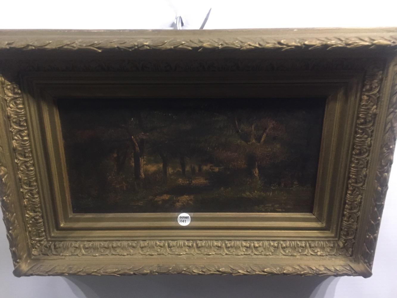 Women walking in the forest 