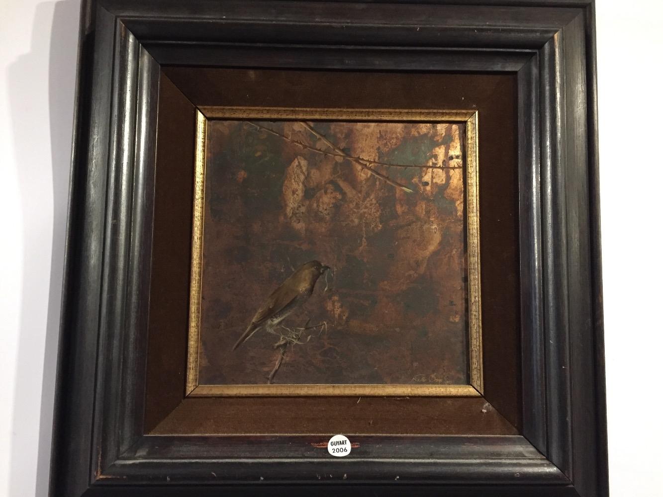 Bird building his nest 